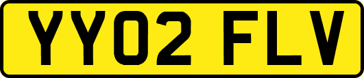 YY02FLV