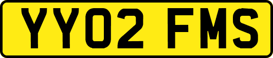 YY02FMS