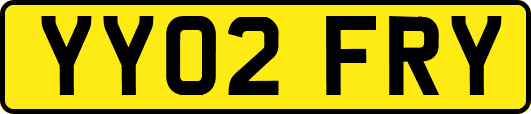 YY02FRY