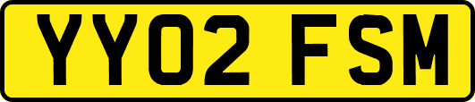 YY02FSM