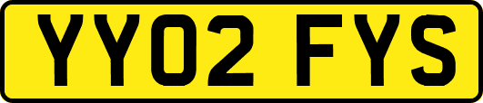 YY02FYS