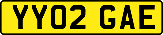 YY02GAE