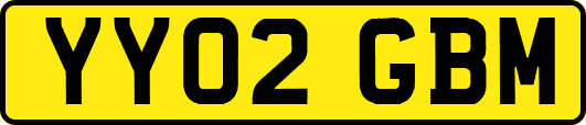 YY02GBM