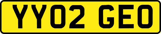 YY02GEO