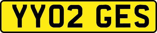 YY02GES