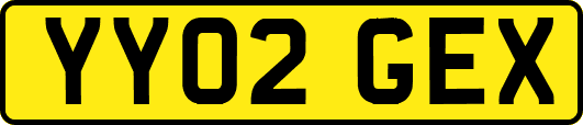 YY02GEX