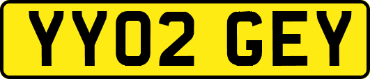 YY02GEY