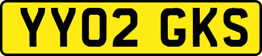 YY02GKS