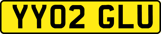 YY02GLU