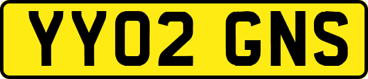 YY02GNS