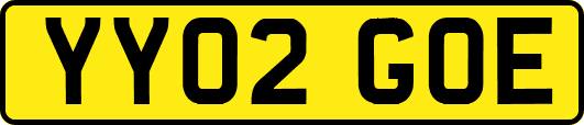 YY02GOE