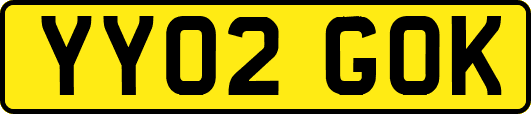 YY02GOK
