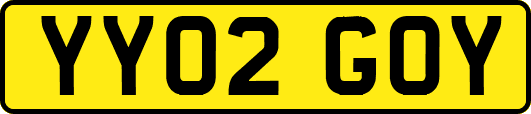 YY02GOY
