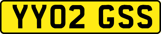 YY02GSS