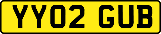 YY02GUB