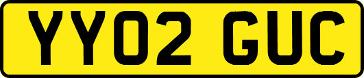 YY02GUC