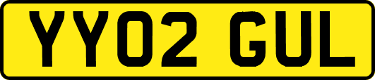 YY02GUL