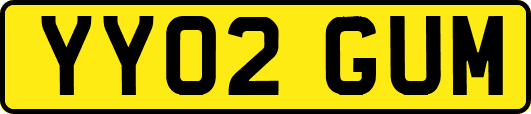 YY02GUM