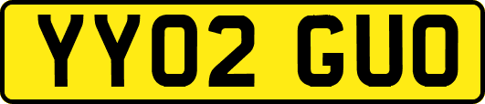YY02GUO