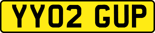 YY02GUP