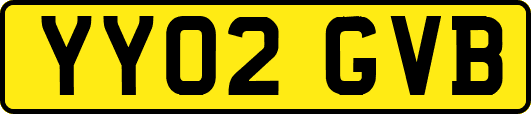 YY02GVB
