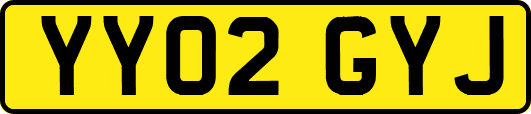 YY02GYJ