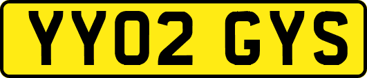 YY02GYS