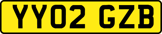 YY02GZB