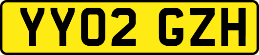 YY02GZH