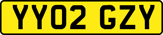 YY02GZY