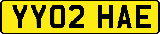 YY02HAE