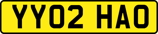YY02HAO