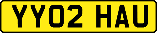 YY02HAU