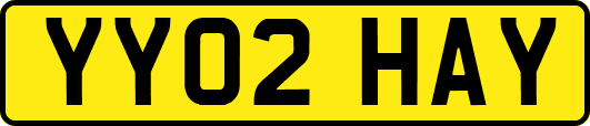 YY02HAY