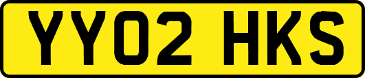 YY02HKS