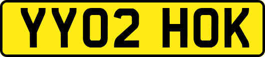 YY02HOK
