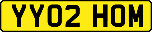 YY02HOM