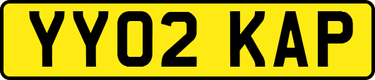 YY02KAP