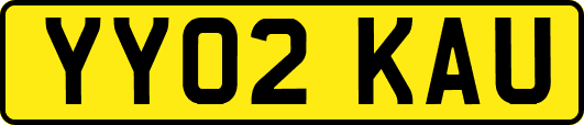 YY02KAU