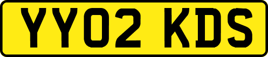 YY02KDS