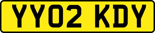 YY02KDY