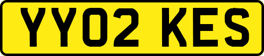 YY02KES