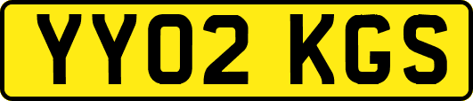 YY02KGS