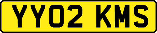 YY02KMS