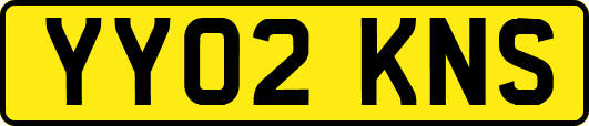 YY02KNS