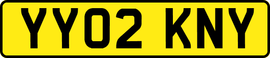 YY02KNY