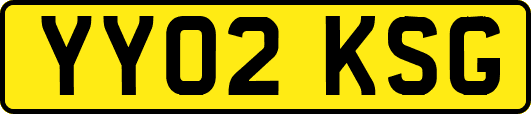 YY02KSG