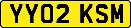 YY02KSM