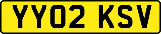 YY02KSV