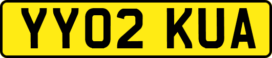 YY02KUA